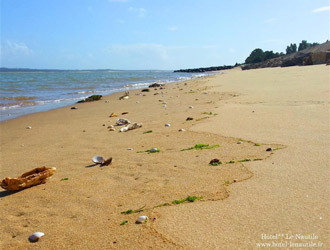 Paysage de l'ile d'oleron